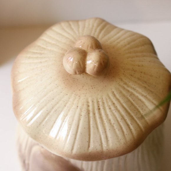Vintage XL Arnel's Mushroom Canister - Picture 6 of 6